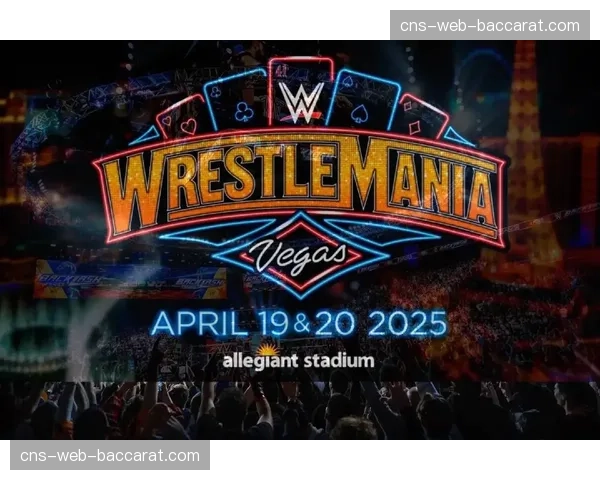 美国“摔角狂热42”票房与流媒体点播量双双破纪录