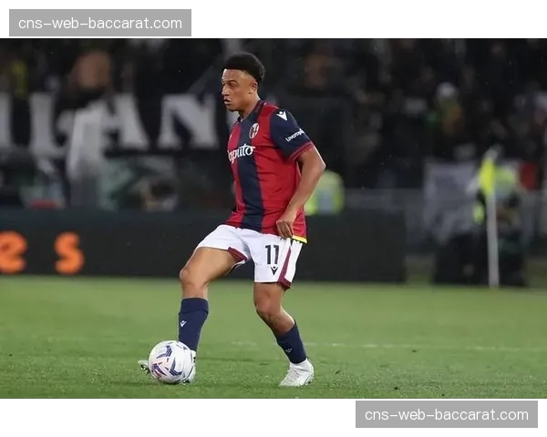 布伦特福德2-2战平埃弗顿，保级关键战各取一分